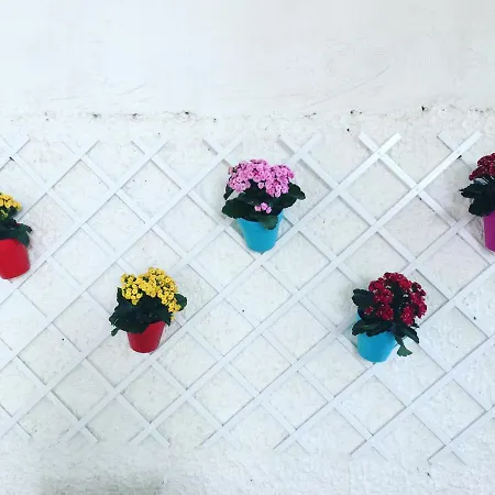 Erade 3* كازاميتْشيولا تيرمي